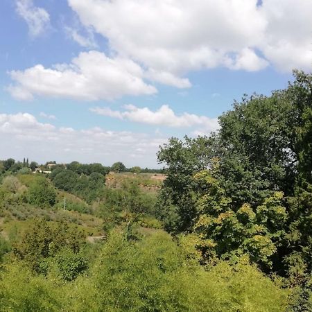 Апартаменти Nel Chianti Lungo La Francigena Колле-ді-Валь-д'Ельса Екстер'єр фото