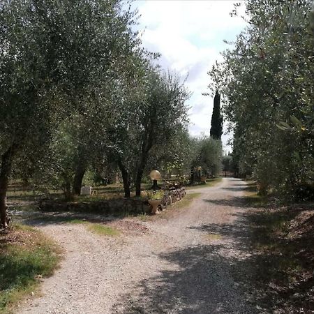 Апартаменти Nel Chianti Lungo La Francigena Колле-ді-Валь-д'Ельса Екстер'єр фото