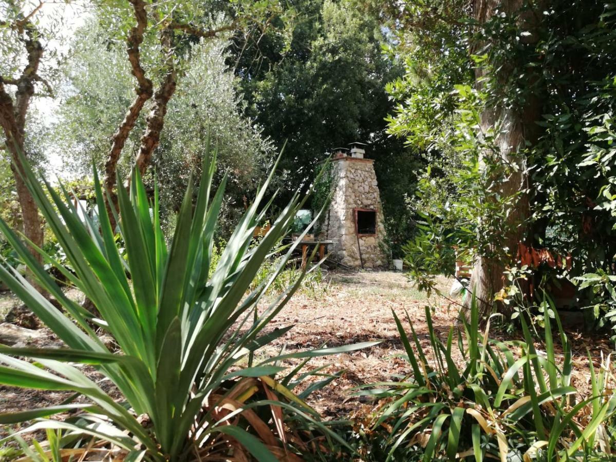 Апартаменти Nel Chianti Lungo La Francigena Колле-ді-Валь-д'Ельса Екстер'єр фото