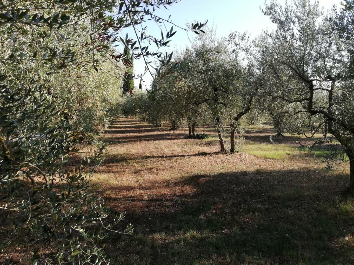 Апартаменти Nel Chianti Lungo La Francigena Колле-ді-Валь-д'Ельса Екстер'єр фото