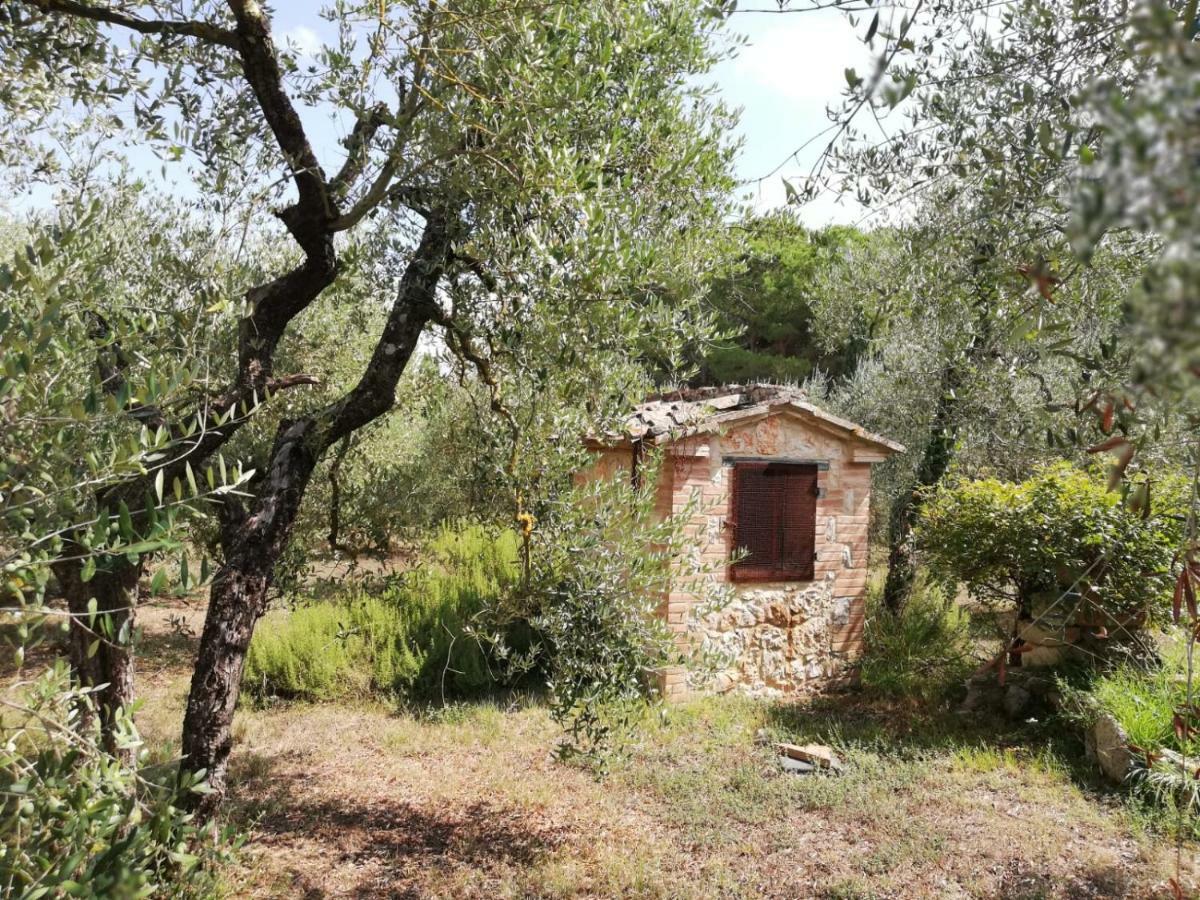 Апартаменти Nel Chianti Lungo La Francigena Колле-ді-Валь-д'Ельса Екстер'єр фото