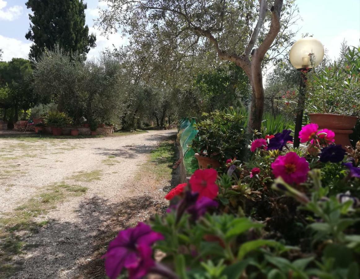 Апартаменти Nel Chianti Lungo La Francigena Колле-ді-Валь-д'Ельса Екстер'єр фото
