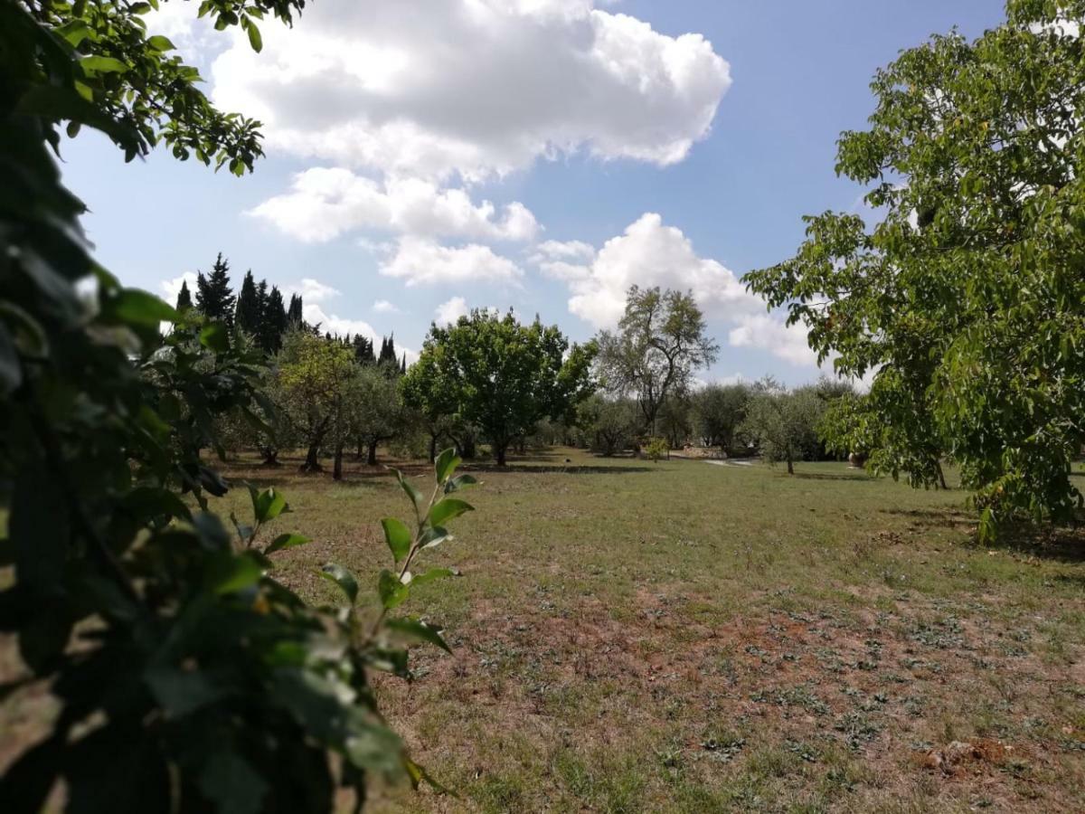 Апартаменти Nel Chianti Lungo La Francigena Колле-ді-Валь-д'Ельса Екстер'єр фото