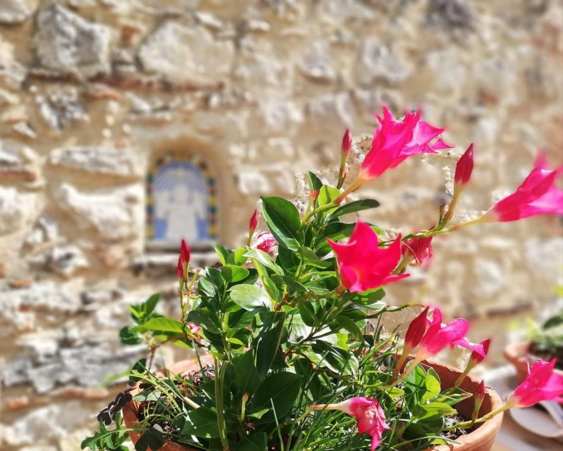 Апартаменти Nel Chianti Lungo La Francigena Колле-ді-Валь-д'Ельса Екстер'єр фото