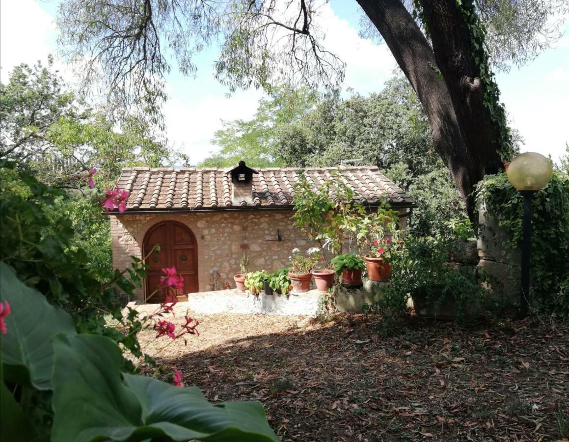 Апартаменти Nel Chianti Lungo La Francigena Колле-ді-Валь-д'Ельса Екстер'єр фото