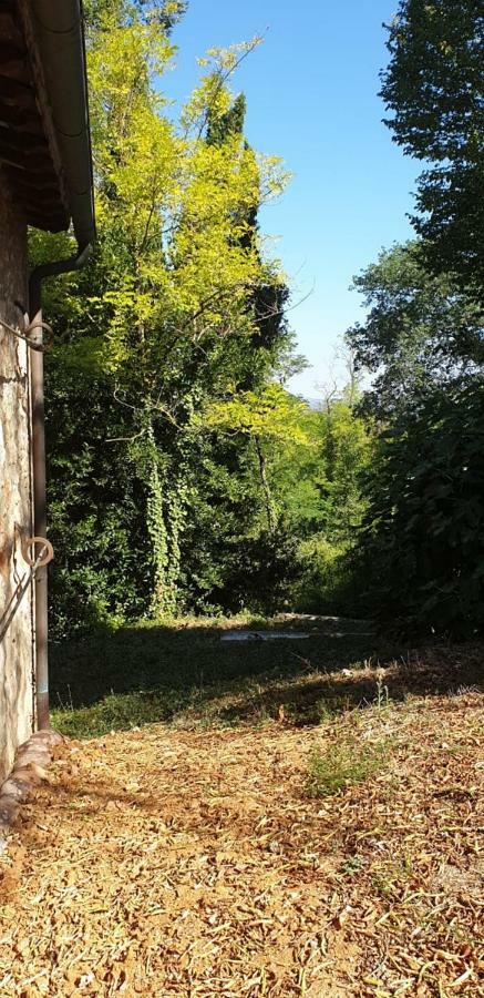 Апартаменти Nel Chianti Lungo La Francigena Колле-ді-Валь-д'Ельса Екстер'єр фото