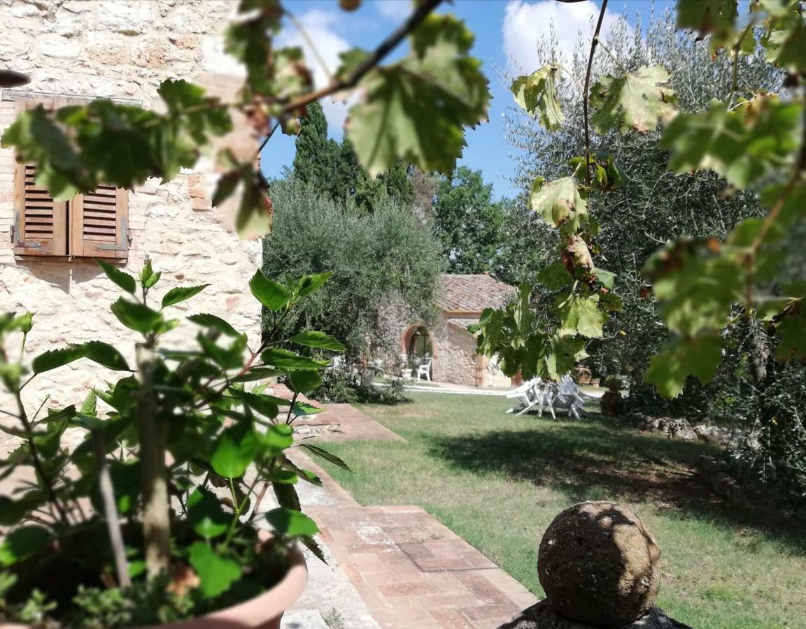 Апартаменти Nel Chianti Lungo La Francigena Колле-ді-Валь-д'Ельса Екстер'єр фото