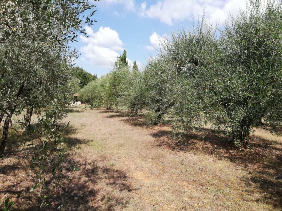 Апартаменти Nel Chianti Lungo La Francigena Колле-ді-Валь-д'Ельса Екстер'єр фото