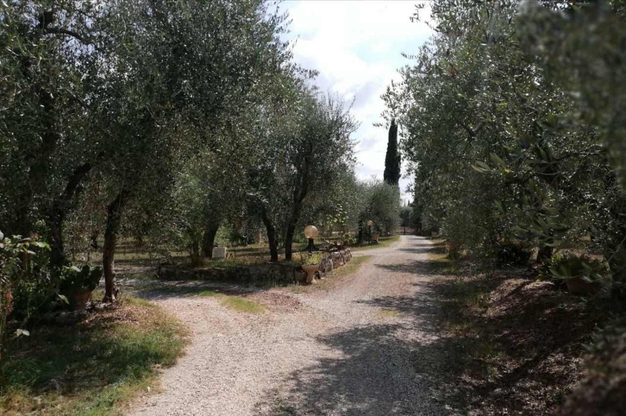 Апартаменти Nel Chianti Lungo La Francigena Колле-ді-Валь-д'Ельса Екстер'єр фото